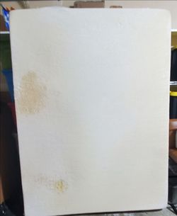 Free Queen Foam Matress