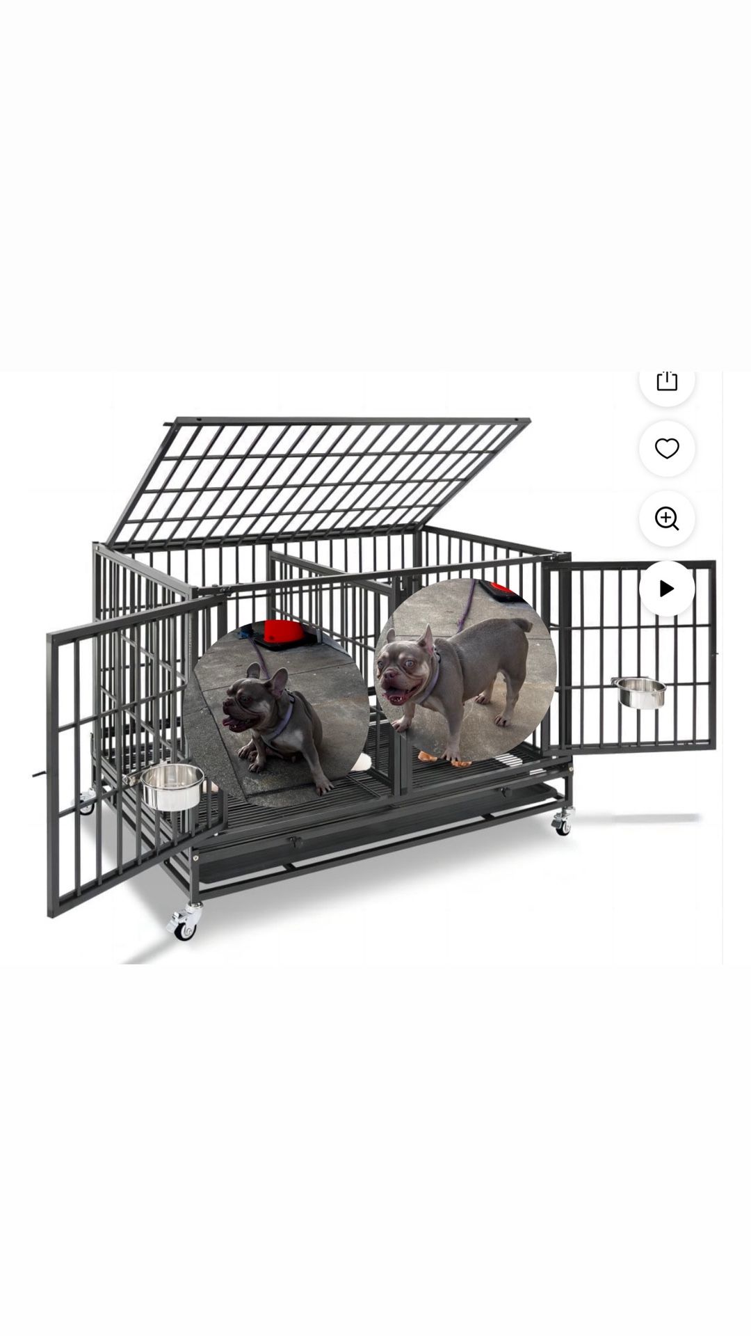 Dog Cage