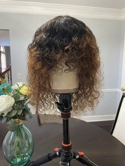 Wig Human Hair