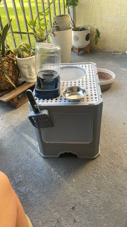 Caja Para Gatos Y Comedero