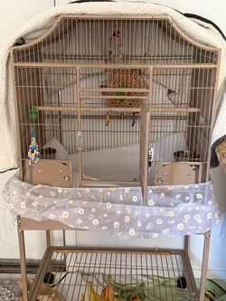 Used bird cage