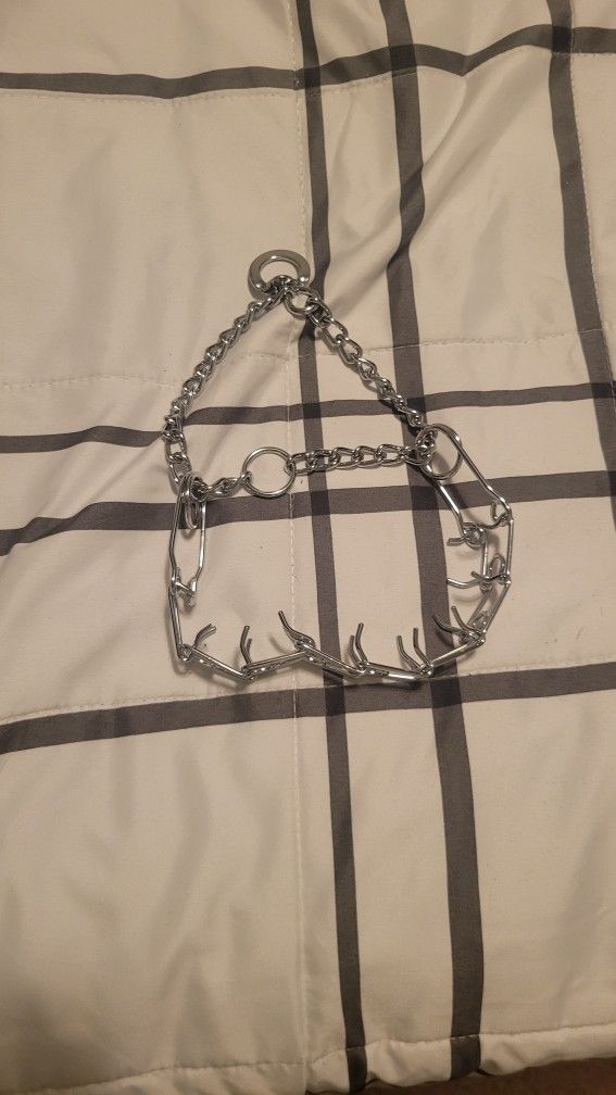 Dog Prong Collar