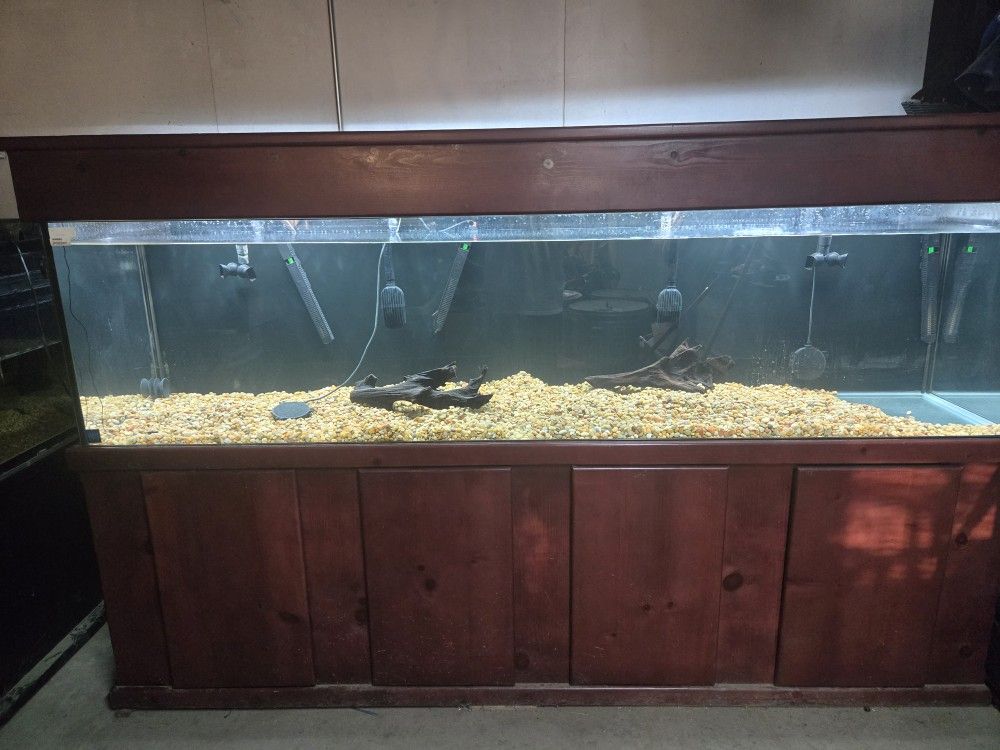 Custom 240 gallon Fish Tank with Stand & Canopy