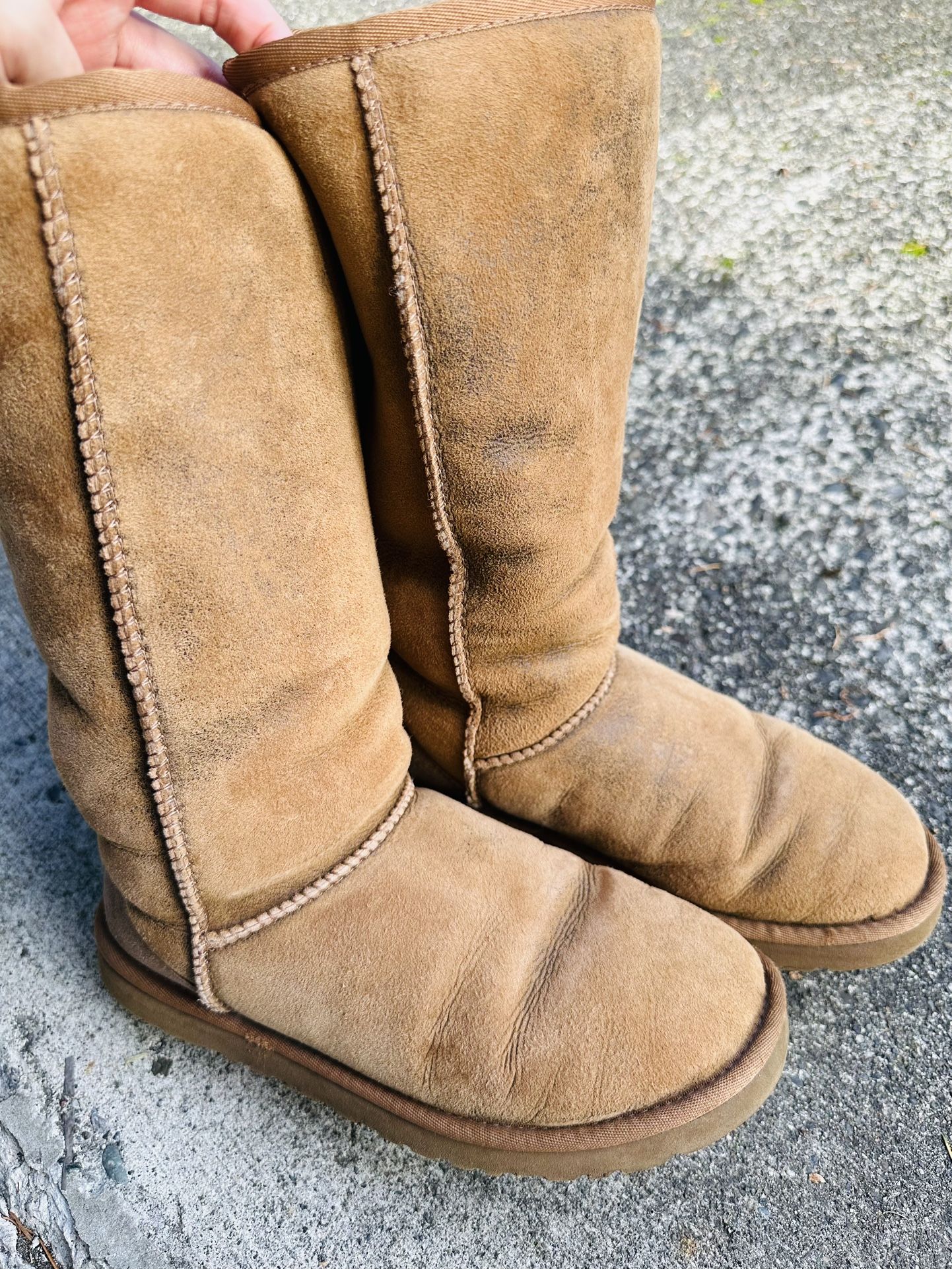 Ugg W6 chestnut