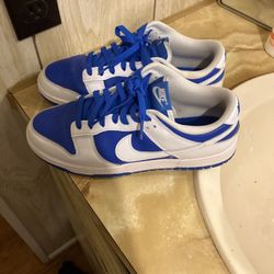 Blue And White Dunk Sb
