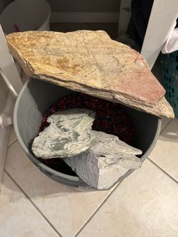 Fish Tank Accessories And Fish Tank