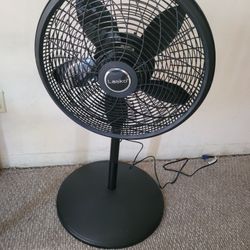 Lasko Fan 