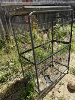 Bird Cage!