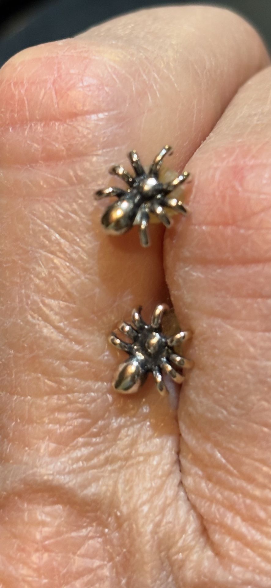 Silver spider earrings. Post earrings