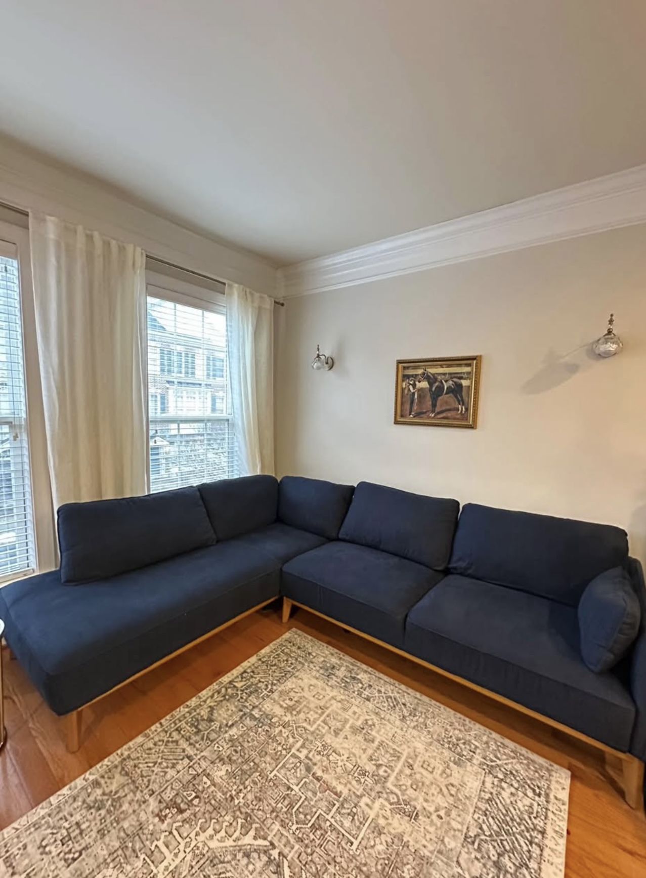 Beautiful Blue Sectional Sofa from Smoke&Pet Free home