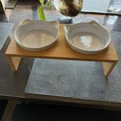 Cat Dishes