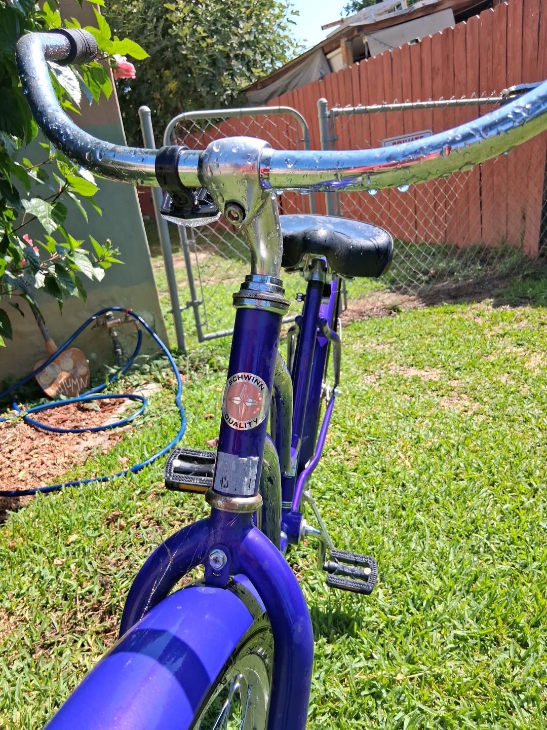 SCHWINN LEGACY Women's PURPLE BIKE CRUISER El Monte