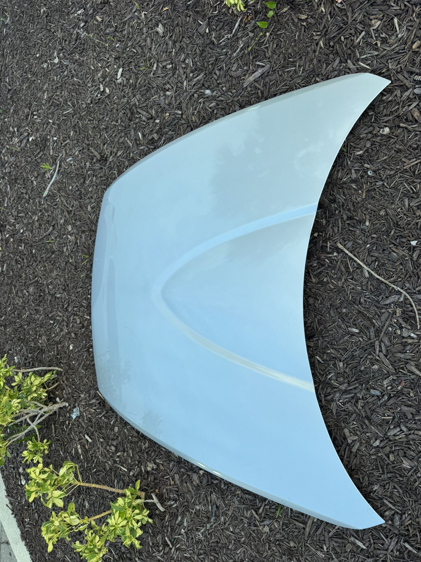 2005 Mazda Rx-8 Hood