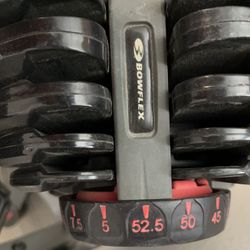 Bowflex Dial-in Hand Weights 