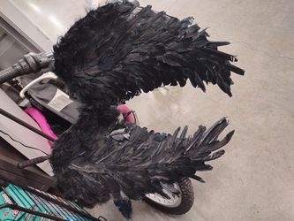 Black wings
