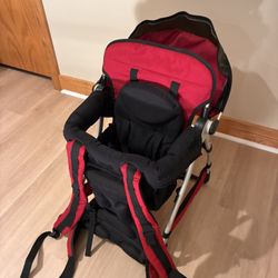 Chicco Toddler Carrier