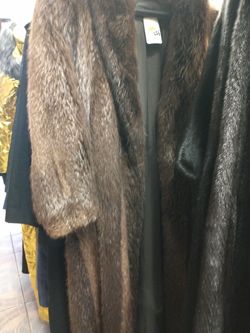 Beaver Coat