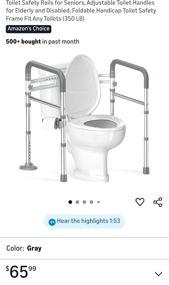 Toilet Safety Rails
