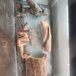 Reptiles Items/Accessories 