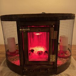 Chick Brooder