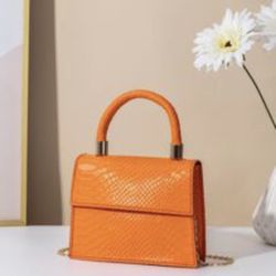 Orange Purse 