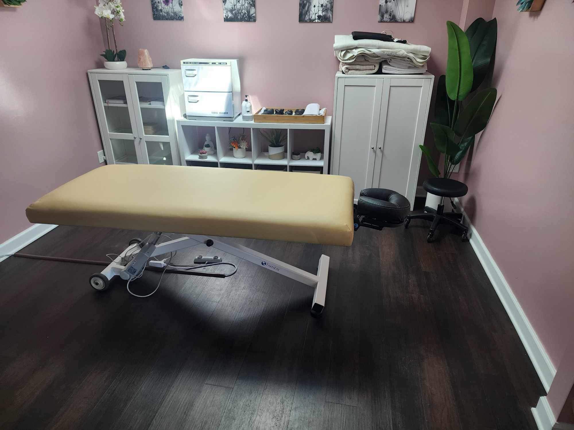 Earthlite electric Massage Table