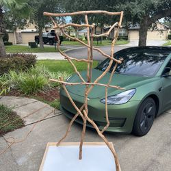 Parrot Stand -parrot perch