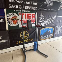 Pull Up / Dip Station 