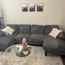 Gray Couch