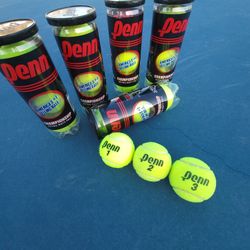 Used Tennis Balls  To Play With Your Dog  🐕