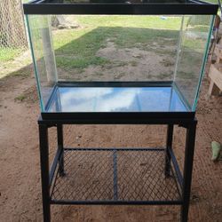Fish Tank