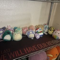 Small Medium Squishmallows Set
