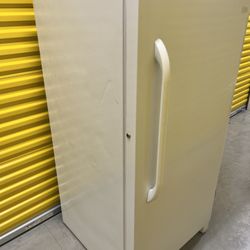 Fridagaire Freezer