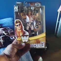 WWF  Action Figure 