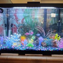 FISH TANK 30 GALLON COMPLETE SET UP WITH TETRA Glo Fish 