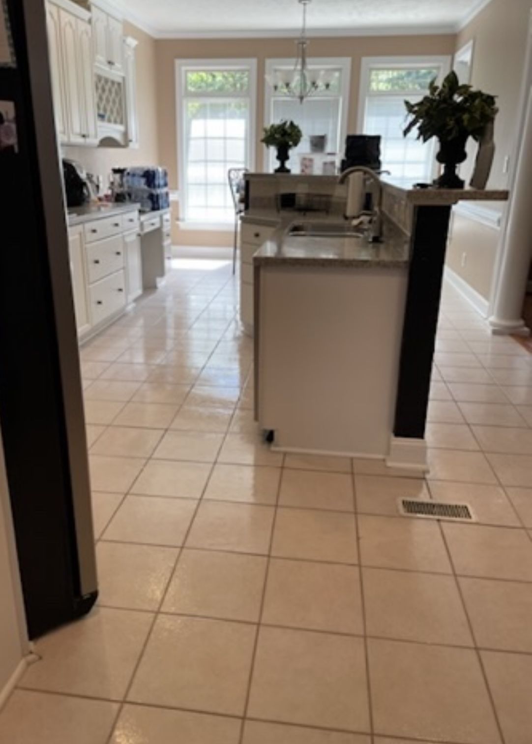 Professional cleaning