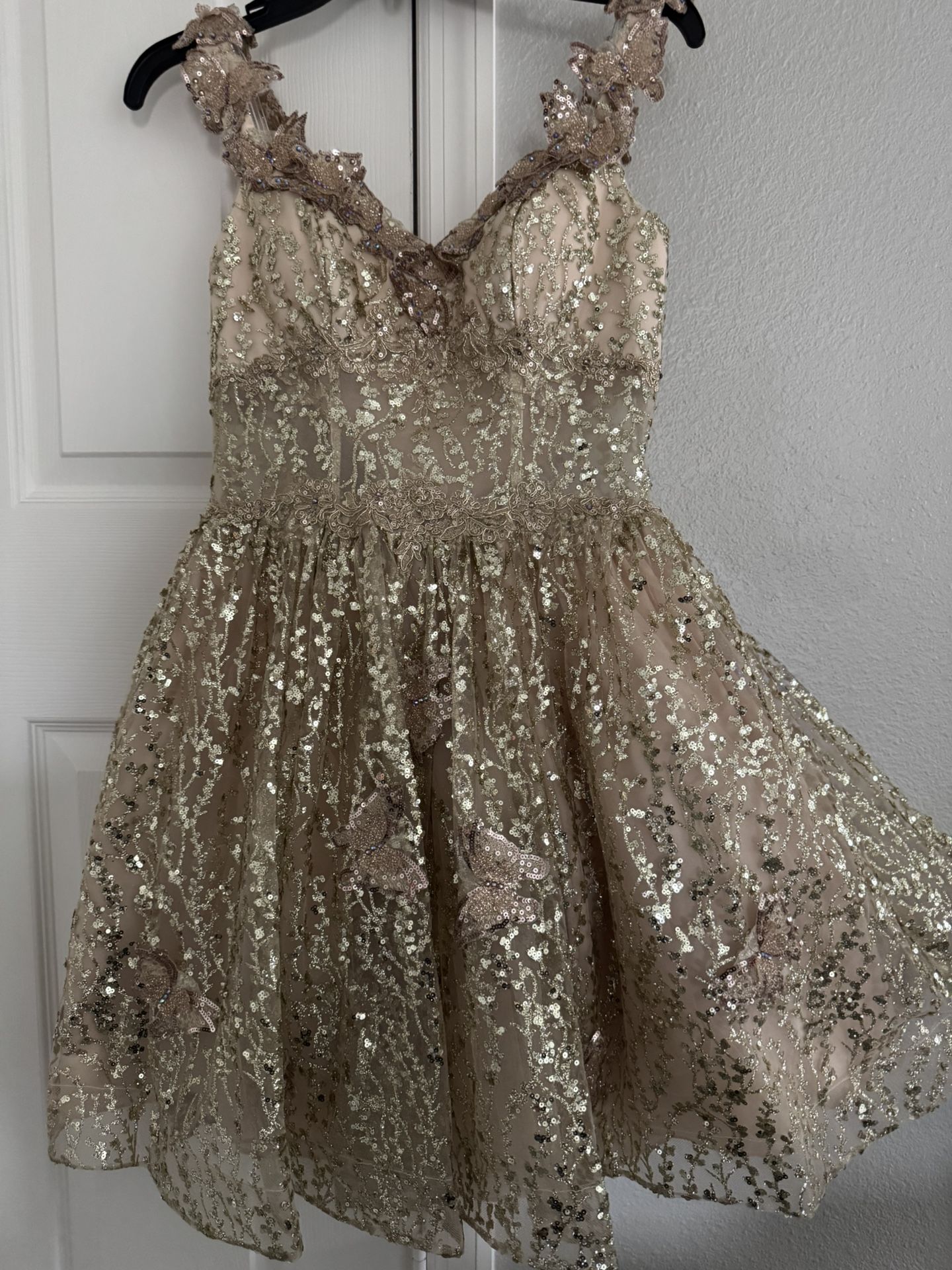 🌸 Quinceañera / Formal Dress for Sale 🌸