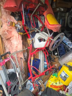 Birel shifter kart with TM engine