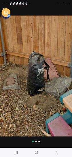 Everlast punching bag. It has been outside. Still in one piece