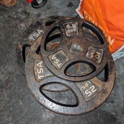 Weights For Sale  2x25 1x10 $40