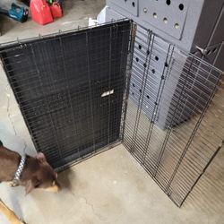 Dog Kennel Crate