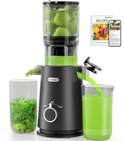 Big Mouth Slow Juicer Paid 170 Selling For 80 