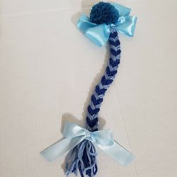 Trenza  En Moño  del Pelo