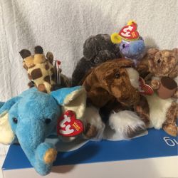 2000/2004 TY Beanies with Tags