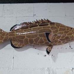 Black Grouper Fish Mount 