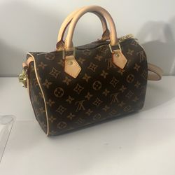 Louis Vuitton Speedy