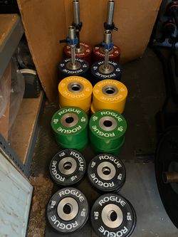 Rogue dumbbell bumper set 740lbs with 2 sets of handles