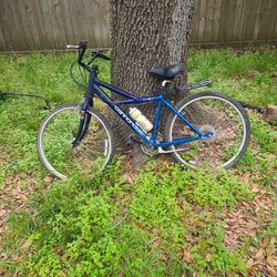  2- Cannondale Bikes Bike