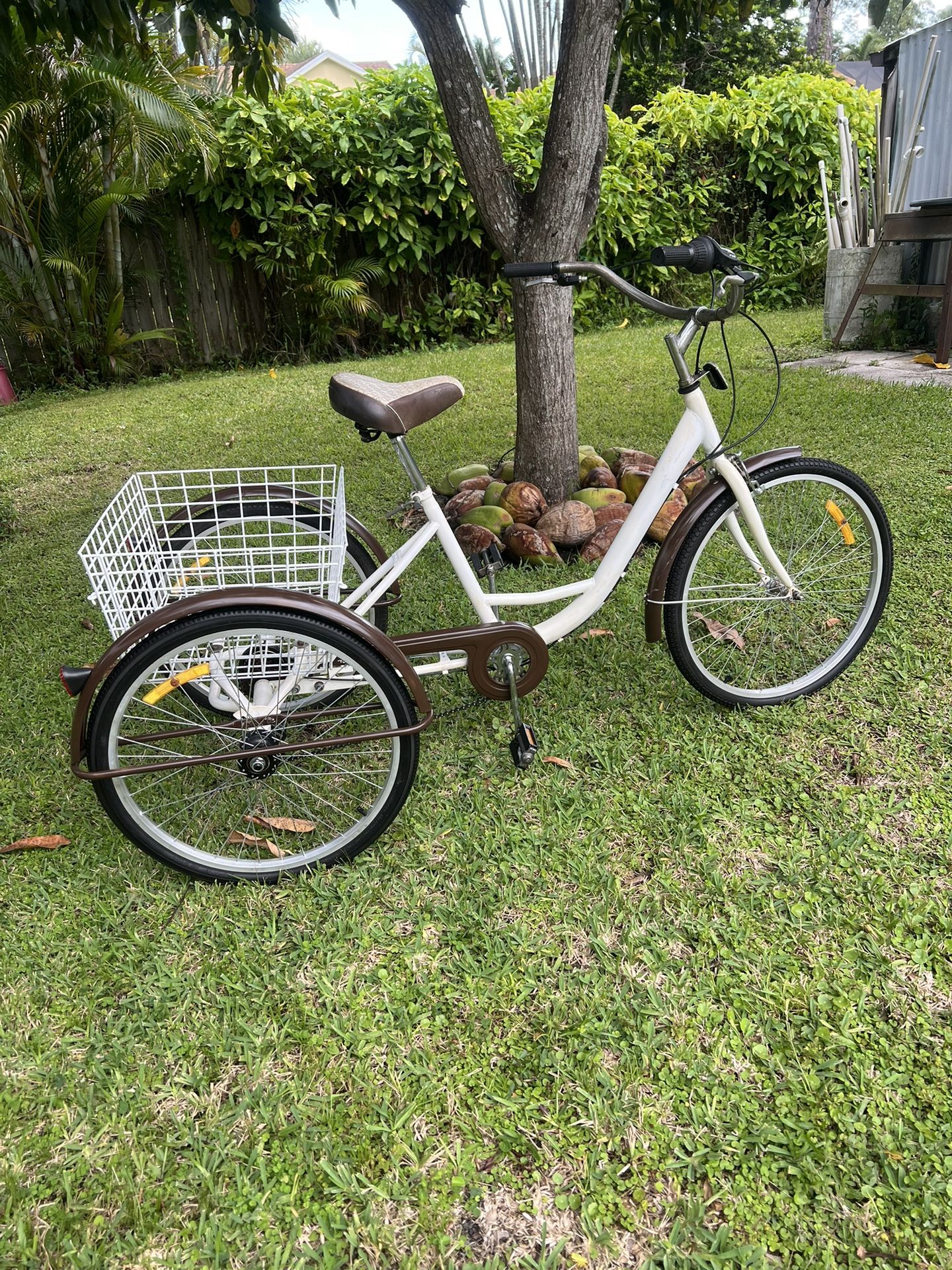 ADULT 7 SPEED TRIKE 