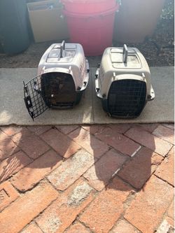 Cat Carriers